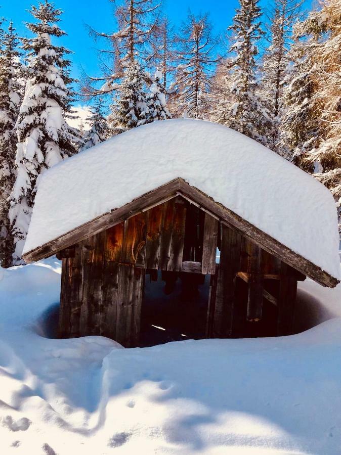 Haus Alpenrose Apartamento Trins Exterior foto